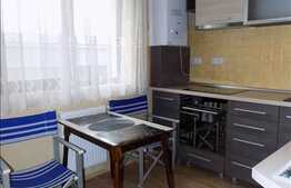 1 camera, 42 mp, imobil nou, mobilat modern, garaj, zona strazii Dambovitei