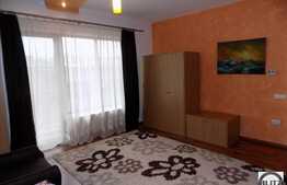 1 camera, 42 mp, imobil nou, mobilat modern, garaj, zona strazii Dambovitei