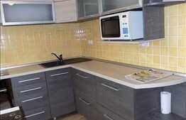 1 camera, 42 mp, imobil nou, mobilat modern, garaj, zona strazii Dambovitei