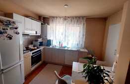 Apartament 2 camere, 62 mp, 2 bai, zona Muzeul Apei