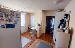 Apartament 2 camere, 62 mp, 2 bai, zona Muzeul Apei