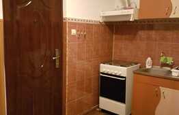 Apartament de 1 camera, 22 mp, mobilat/utilat, zona Tractorul