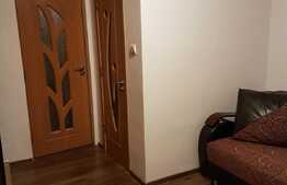 Apartament de 1 camera, 22 mp, mobilat/utilat, zona Tractorul