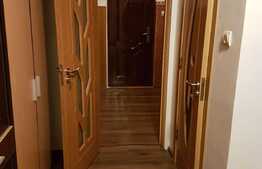 Apartament de 1 camera, 22 mp, mobilat/utilat, zona Tractorul