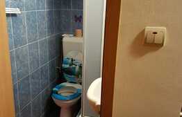 Apartament de 1 camera, 22 mp, mobilat/utilat, zona Tractorul