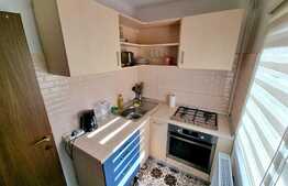 Garsoniera 27,5mp, renovata, zona Parcul Rozelor