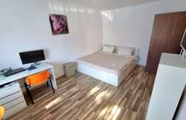 Garsoniera 27,5mp, renovata, zona Parcul Rozelor