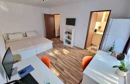 Garsoniera 27,5mp, renovata, zona Parcul Rozelor