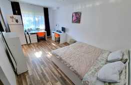 Garsoniera 27,5mp, renovata, zona Parcul Rozelor