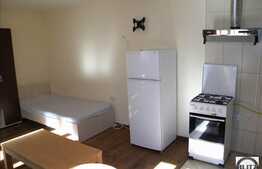 Inchiriere 1 camera, 30 mp utili, zona Casa de Cultura, mobilat modern