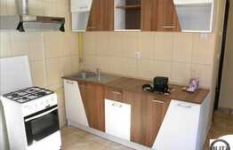 Inchiriere 1 camera, 30 mp utili, zona Casa de Cultura, mobilat modern