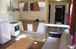 Inchiriere 1 camera, 30 mp utili, zona Casa de Cultura, mobilat modern