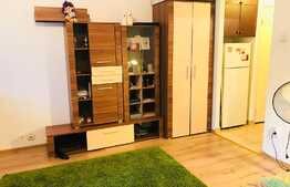1 camera, 30 mp, mobilat modern, balcon, zona strazii Aurel Suciu