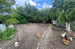 Casa de 95 mp, 3 camere , 1200 mp teren, Bod 