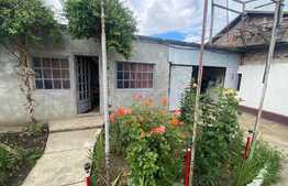 Casa de 95 mp, 3 camere , 1200 mp teren, Bod 