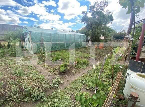 Casa de vânzare 3 camere Bod - 93385CV | BLITZ Brașov | Poza14