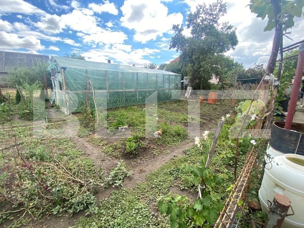 Casa de vânzare 3 camere Bod - 93385CV | BLITZ Brașov | Poza14