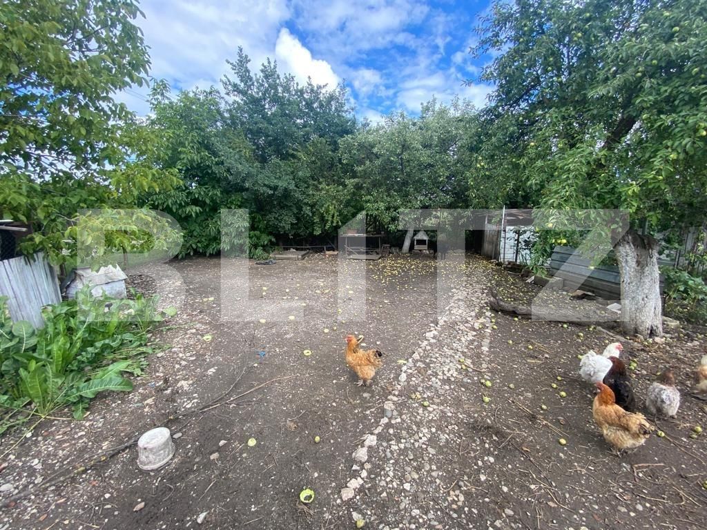 Casa de vânzare 3 camere Bod - 93385CV | BLITZ Brașov | Poza15