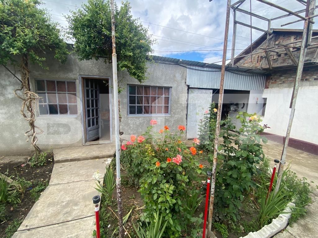 Casa de vânzare 3 camere Bod - 93385CV | BLITZ Brașov | Poza13