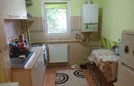 Garsoniera de 33 mp, posibilitate preluare chiriaș, zona FSEGA