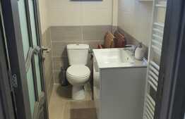 Casa cocheta plan parter, 90mp utili, 350mp teren, zona linistita, Stupini