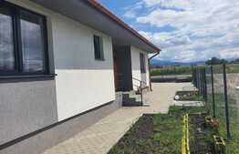 Casa cocheta plan parter, 90mp utili, 350mp teren, zona linistita, Stupini