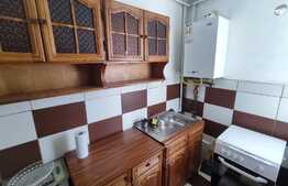 Apartament 1 camera, 30 mp, etaj intermediar, zona Astra