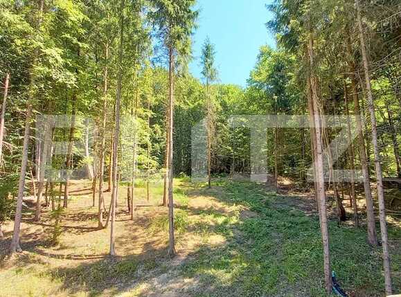 Casa de vânzare 5 camere Făget - 93585CV | BLITZ Cluj-Napoca | Poza14