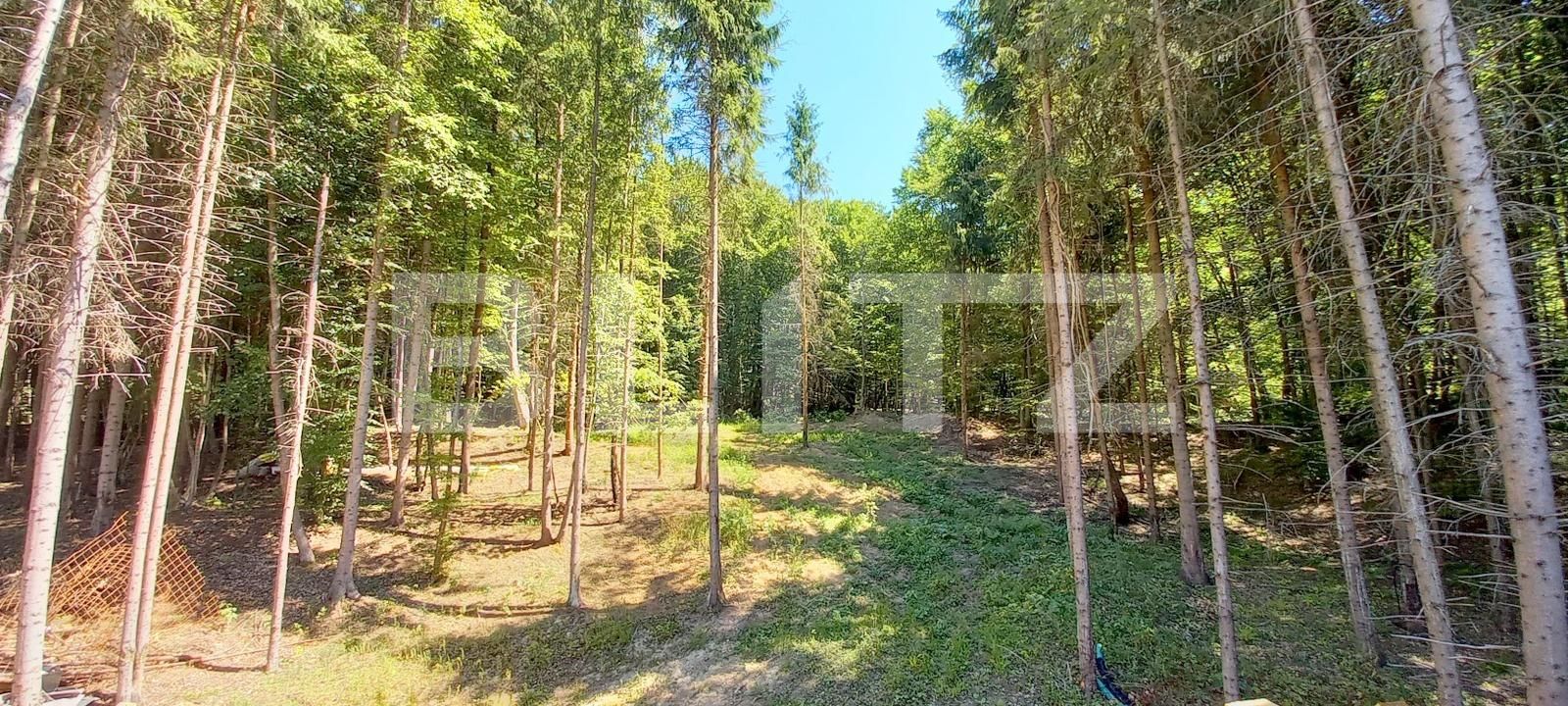 Casa de vânzare 5 camere Făget - 93585CV | BLITZ Cluj-Napoca | Poza14