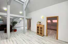Casa, 250 mp, 6 parcari, zona Parcului Central