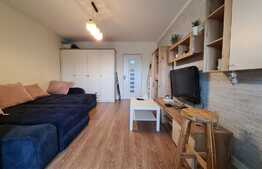 Garsoniera 25mp, semidecomandat, zona Gheorgheni 