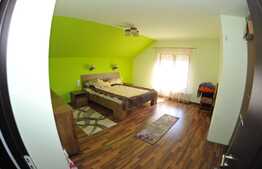 Casa individuala, 4 camere, living, 213 mp, teren 800mp, Carpiniș