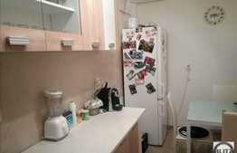 Apartament 1 camera, 40 mp, etaj intermediar, zona USAMV