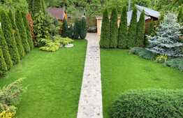 Casa individuala, 193 mp, teren 621 mp, terasa, Dambu Rotund 