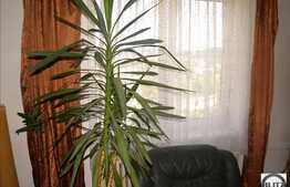 Vanzare apartament cu 2 camere, orientare N-V, zona Sala Sporturilor