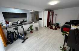 Apartament 2 camere de lux, 55 mp, 21 mp terasa, parcare, zona Porii