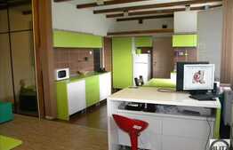 Apartament 1 camera, 45 mp utili, mobilat modern, loc parcare, zona Iulius Mall!