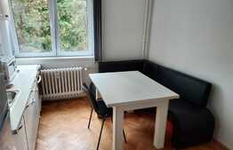 Apartament 3 camere, 40 mp, etaj intermediar, zona Albac