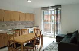 Apartament 2 camere, 50 mp, prima inchiriere, parcare, zona Chinteni