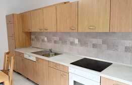 Apartament 2 camere, 50 mp, prima inchiriere, parcare, zona Chinteni