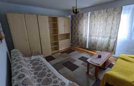 Apartament 2 camere, 55 mp, etaj intermediar, zona Kaufland, Marasti