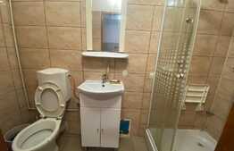 Garsoniera 24 mp, mobilat/utilat, zona  Uzina 2