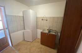 Garsoniera 24 mp, mobilat/utilat, zona  Uzina 2