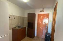 Garsoniera 24 mp, mobilat/utilat, zona  Uzina 2