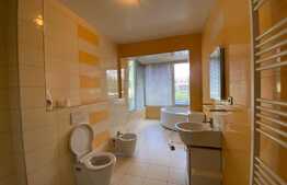 Spatiu de birou, 100 mp, loc de parcare, zona Podul Garibaldi