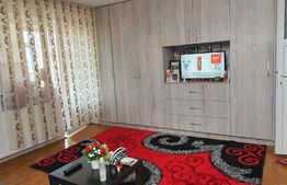 Garsoniera de 28 mp, la vilă, zona Iulius Mall