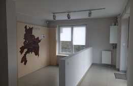 Spatiu comercial de 51 mp, parter, zona Tractorul Avantgarden