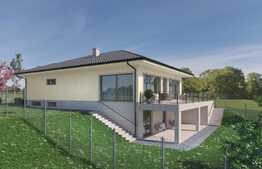 Casa superba, 260 mp, teren 1100 mp, zona Baciu