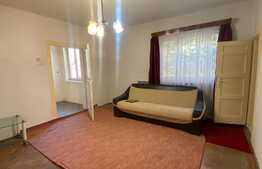 Casa individuala, 5 camere, 540 mp teren, zona strazii Plevnei