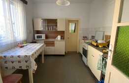 Casa individuala, 5 camere, 540 mp teren, zona strazii Plevnei